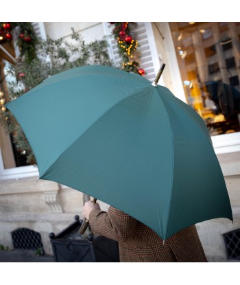 Parapluie vert anglais de technologie