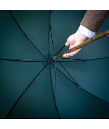 Parapluie vert anglais de technologie