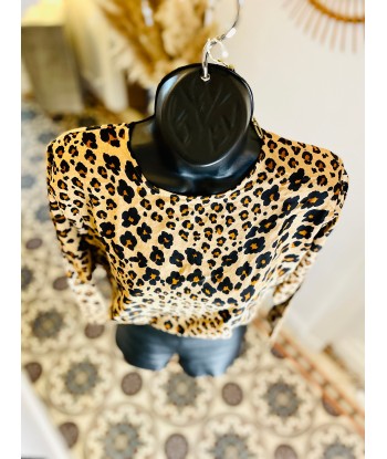 Blouse 🐆 français